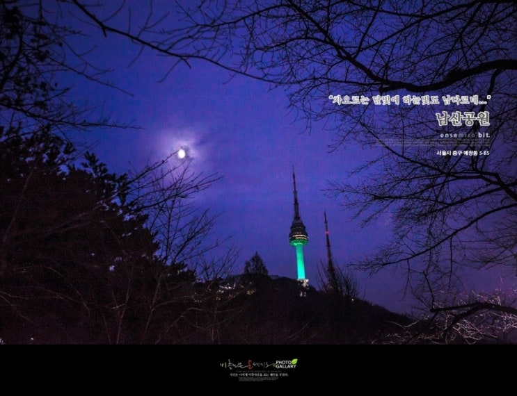 남산공원_많은 사람들이 찾는 서울의 명소/남산N타워 전망대/남산의 겨울야경 : 네이버 블로그