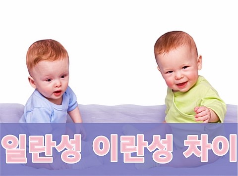 일란성 이란성 차이 / 쌍둥이들의 특징을 알아볼까요? : 네이버 블로그