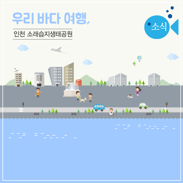 소금 습지 다이어그램