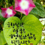 나 같은 죄인 살리신 ~[연세중앙교회 윤석전목사]