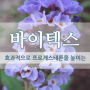 [아이허브 추천] 생리 불순, 생리통에 효과 좋은 바이텍스(VIitex) 후기