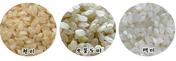 쌀의종류 : 네이버 블로그