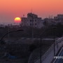 새해 복 많이 받으세요