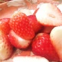 딸기가 좋아! 겨울딸기