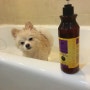 강아지 샴푸 : 베지터블 펫 오가닉 샴프 & 린스로 비우 목욕시키기~