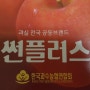 친환경 사과, 유기농 사과, 껍질째 먹는 사과 "썬플러스"
