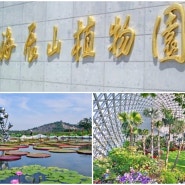 상하이 진산식물원 - 上海辰山植物园 (AAAA급 관광지)