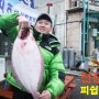 [서해바다낚시] 신진도항 갯바위 방파제 우럭, 놀래미 낚시_태안 안흥