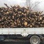 해피팡팡에서 포천 유기견 보호소 애린원에 난방용 나무 10톤을 전달하였습니다^^