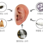 [심리힐링] 이명(耳鳴)은 왜 일어날까?