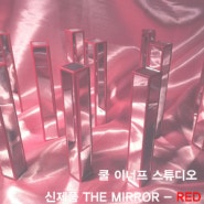 [Aleia Murawski x COOL ENOUGH] - 신제품 THE MIRROR RED