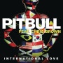 (팝송추천/핏불노래추천) 빌보드 신나는 팝송 흥행보증수표 Pitbull (핏불) 노래 베스트 10 추천!