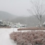 겨울여행 * 눈이와서 좋았던 연천 고대산 캠핑리조트 카라반