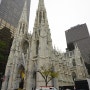 뉴욕여행 - 맨하탄 세인트 페트릭스 성당