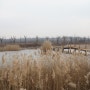 드림파크 문화재단 연못의 겨울이야기(2016년 1월 16일 토요일)