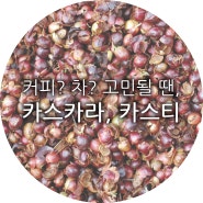 커피? 차? 고민될 땐, 카스카라! 카스티