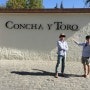 [2015.02.27 ~ 03.21] 칠레 배낭여행 / 산티아고 / 칠레 와이너리 투어 / 콘차이토로 / Concha y Toro