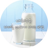 대체우유 :: 라떼를 건강하게 마시는 방법