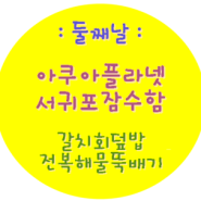 둘. 아쿠아 플라넷과 서귀포 잠수함 / 갈치 회덮밥, 전복 해물 뚝배기 ♥