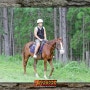 케언즈 여행 - 승마체험(Blazing Saddles Adventures) - 사륜오토바이 - 호주 여행 - 세계여행