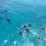 호주 케언즈 여행 - 그레이트 베리어 리프(Great Barrier Reef) - 케언즈 스쿠버다이빙 - 호주여행 세계일주