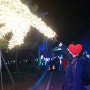 남도여행 넷째날_녹차밭 빛축제(율포해수욕장)