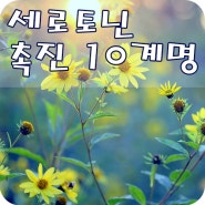 * 세로토닌 촉진 10계명 *