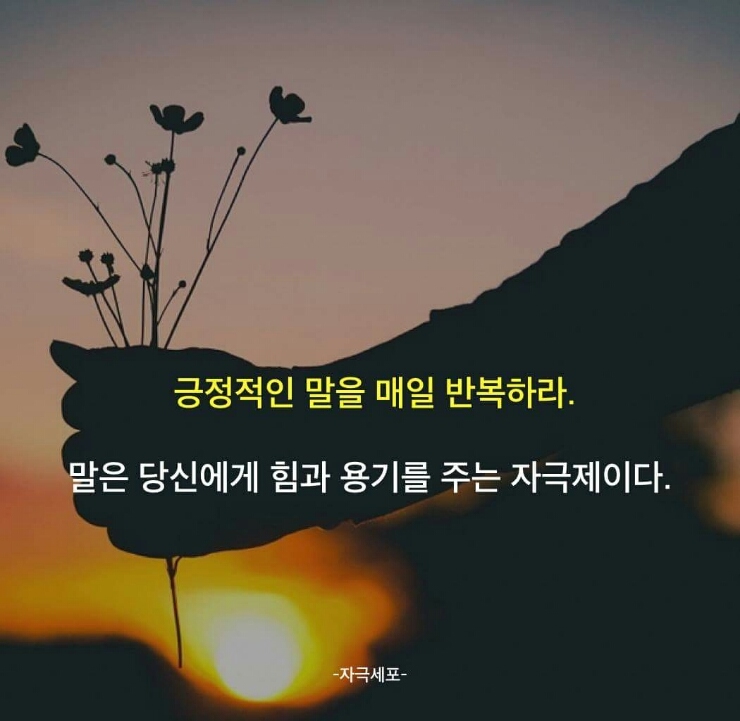 꿈 희망을 이루기위한 명언 좋은글 : 네이버 블로그