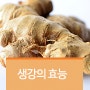 알면 알수록 대단한 생강의 효능!