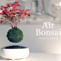 Floating Air Bonsai (공중 분재화분) 구매 방법 Ait Bonsai