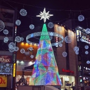 부산 가볼만한곳 남포동 트리축제 2015