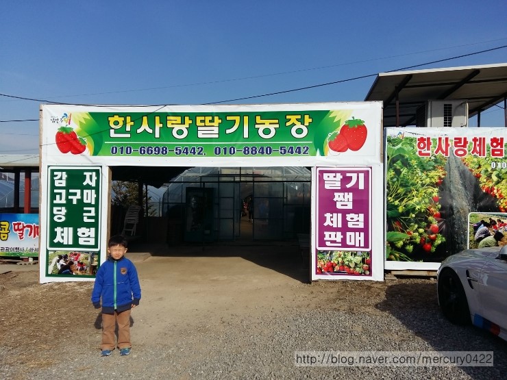 남양주 딸기체험 한사랑딸기농장