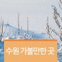 눈 오는 겨울, 수원가볼만한곳추천!