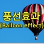 풍선효과 (Balloon effect)와 여신심사 선진화