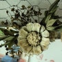 솔방울꽃 미니묶음