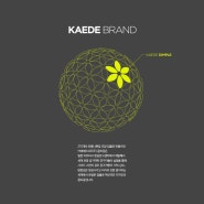카에데볼( KAEDE/카에데럭스/카에데골프공) 브랜드 스토리