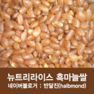 뉴트리라이스 흑마늘쌀 500g