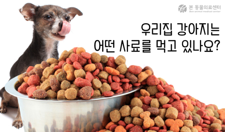 [강아지 사료 등급] 강아지 사료! 꼼꼼히 따져보고 먹이자! 애견 사료 등급 : 네이버 블로그