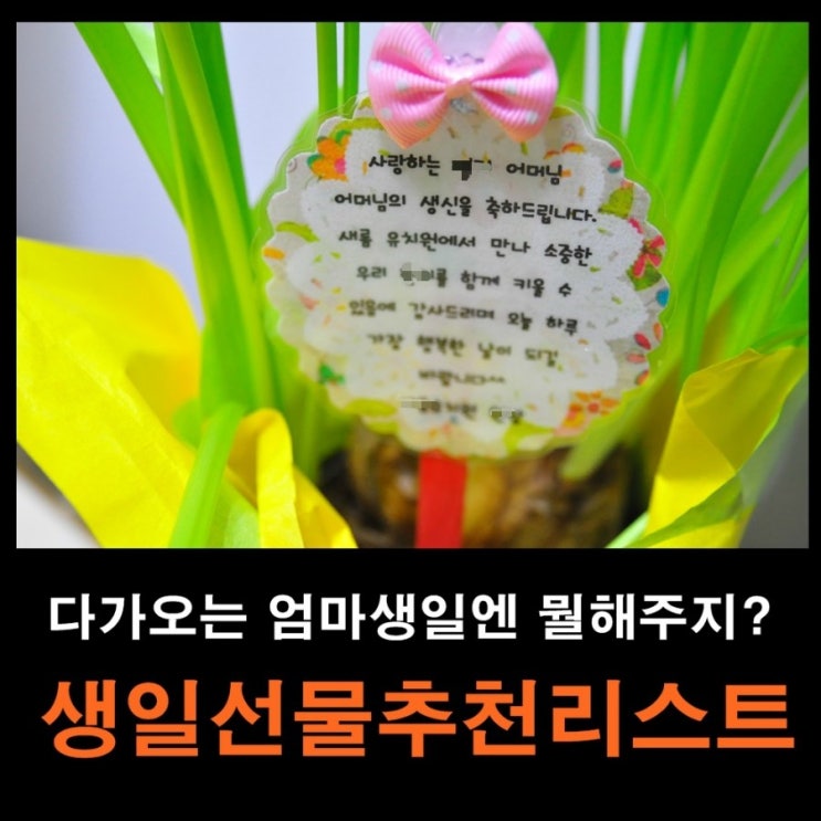 30대,40대,50대,60대 엄마생일/생신선물추천리스트 참고하세용! : 네이버 블로그
