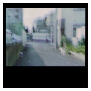 ハルジオン 하루지온 Bump Of Chicken 범프 오브 치킨 네이버 블로그 ハルジオン 하루지온 Bump Of Chicken 범프 오브 치킨 네이버 블로그