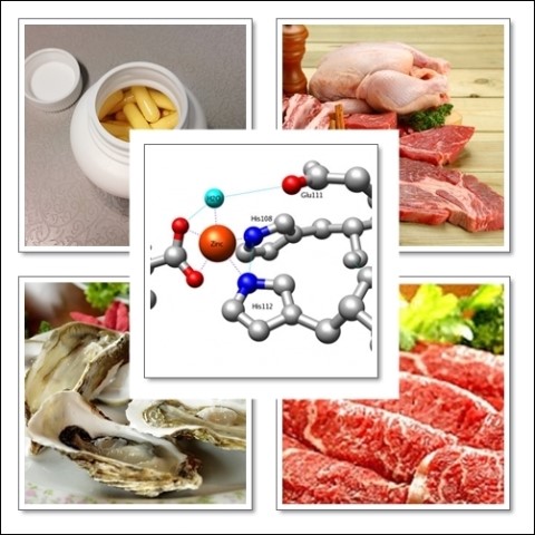 [건강:아연] 아연(Zinc)에 관한 이야기 : 네이버 블로그