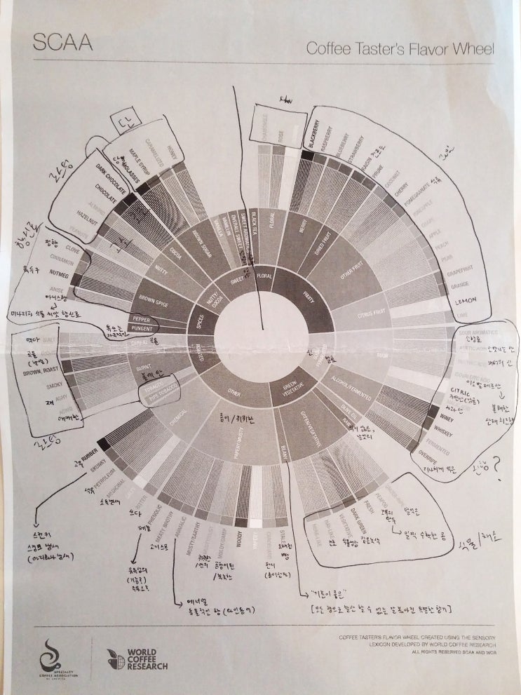 미국스페셜티커피협회(SCAA : Specialty Coffee Association of America)의 2016년 커피 ...