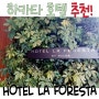 후쿠오카 호텔 하카타 호텔 (HOTEL LA FORESTA ~BY RIGNA)