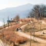 서울에서 30분 거리에 가장 가볼만한 산책길 정약용생가와 다산생태공원- 1부