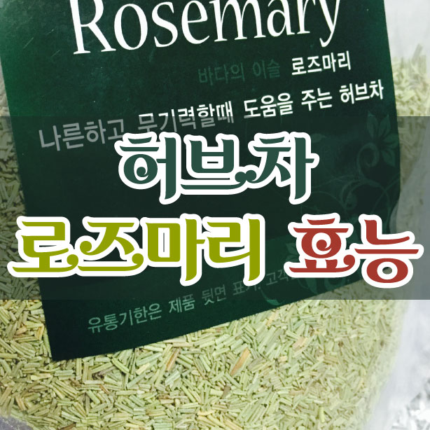 바다의 이슬이라는 로즈마리 허브차 효능? 알고 마시자 : 네이버 블로그