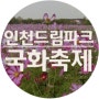 [일상] 인천드림파크 국화축제