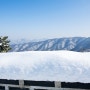 눈 온뒤 하얗게 변한 남한산성, 아름다운 설국