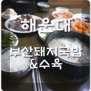 [부산 돼지국밥 & 수육] 해운대 돼지국밥, 해운대맛집추천합니다~