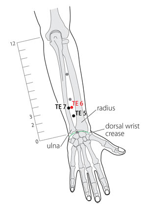 수소양삼초경 - 지구(TE6) : 네이버 블로그