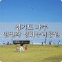 경기도 파주. 임진각 평화누리공원 0609